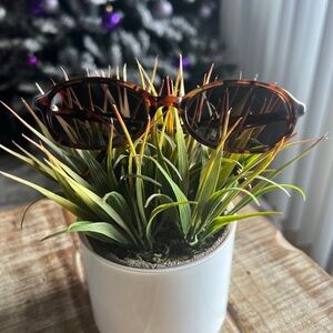 Vintage Haslton Sunglasses